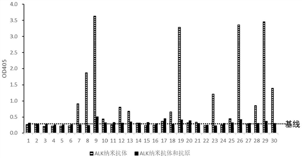 ALK nano antibody developed based on phage display technology and application thereof