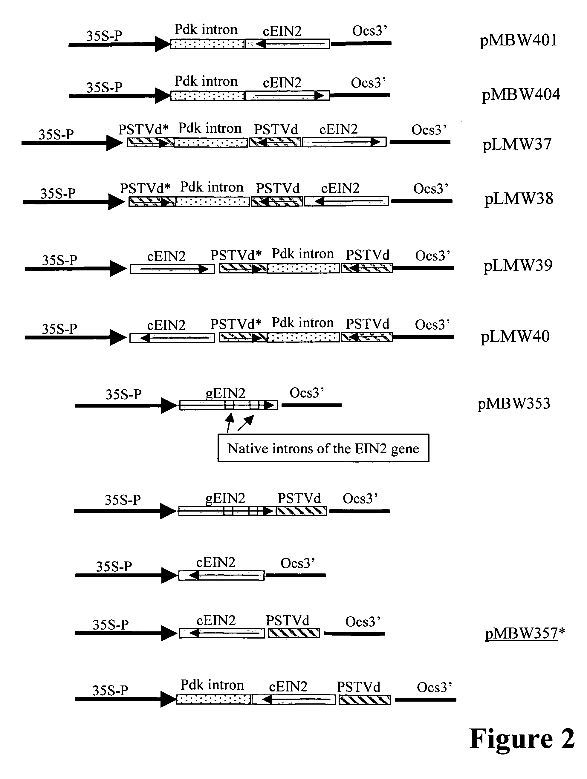 Modified gene-silencing RNA and uses thereof