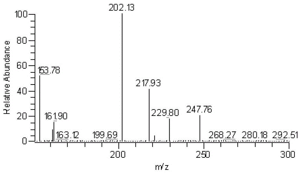 Detection method for the concentration of metacavir and its metabolites in biological samples