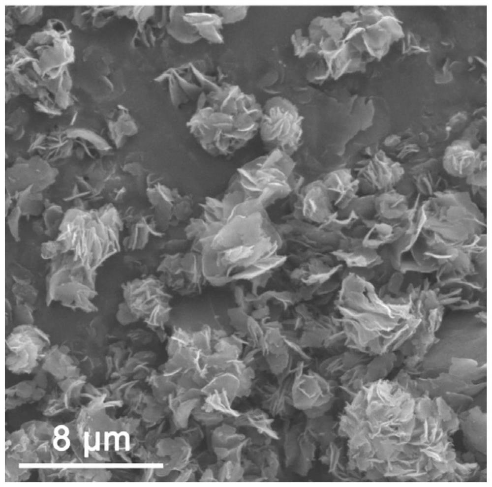 Metal organic framework derived nitrogen-doped carbon nanosheet as well as preparation method and application thereof