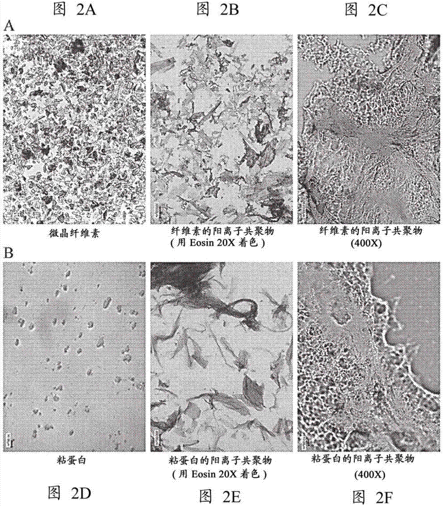 Microcarriers, matrices and scaffolds for culturing mammalian cells and methods of manufacture