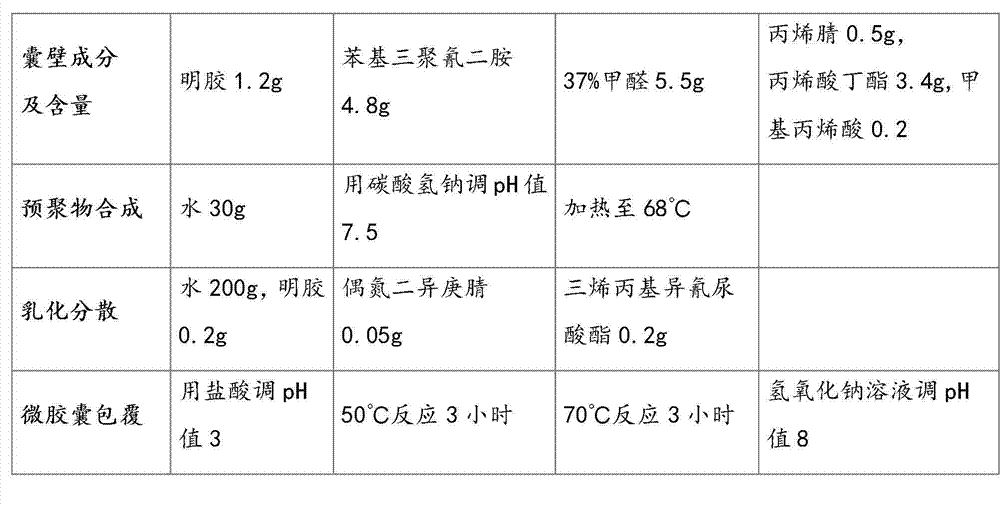 Double-layer coated essence microcapsule and preparation method thereof