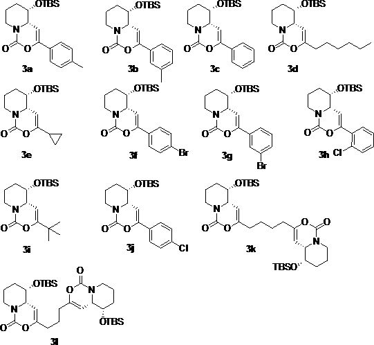 Tetrahydropyrrolooxazinone and piperidino-oxazinone compounds and preparation method thereof