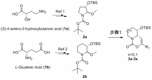 Tetrahydropyrrolooxazinone and piperidino-oxazinone compounds and preparation method thereof