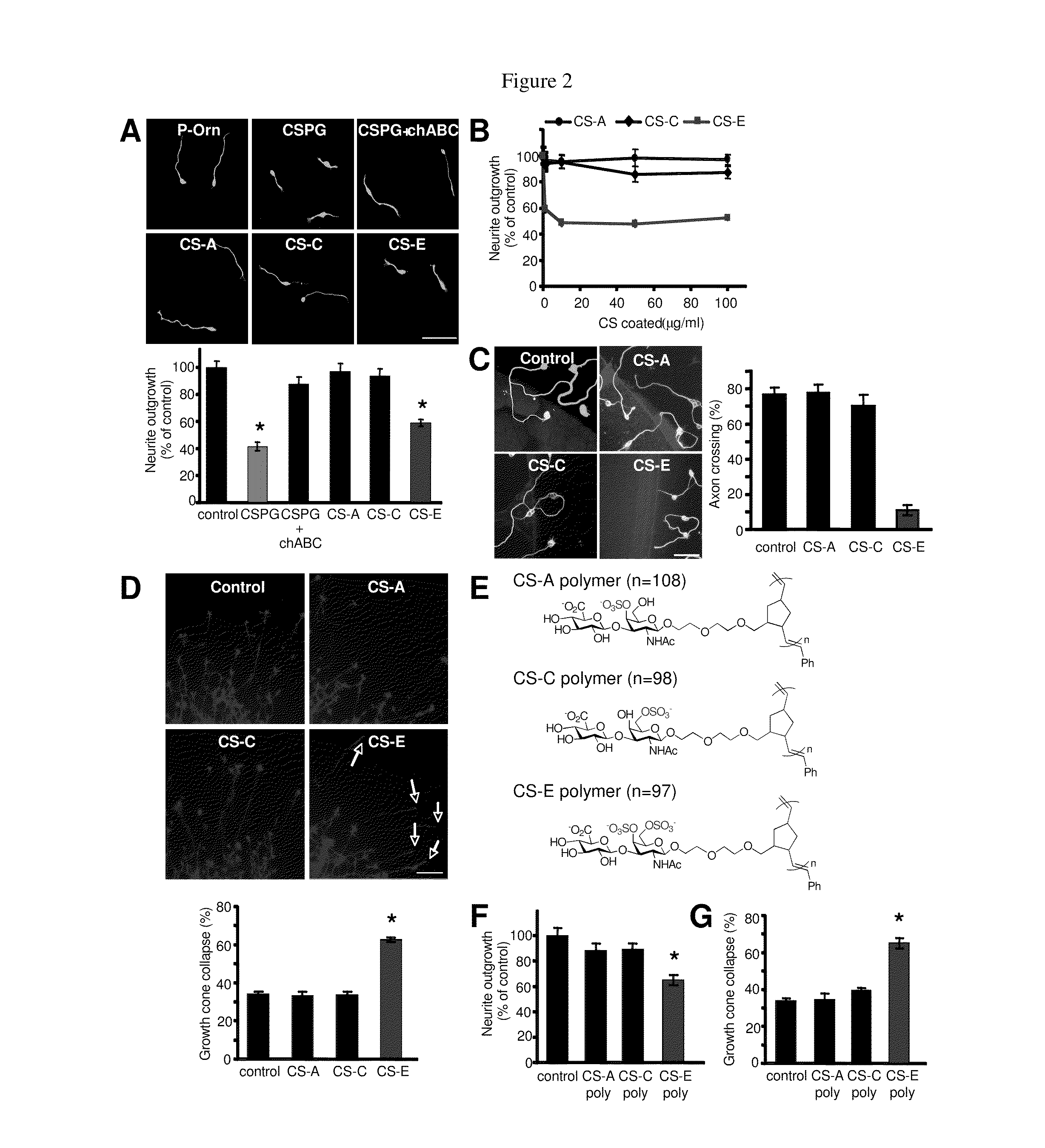 Methods and compositions for treating neuronal damage or degeneration