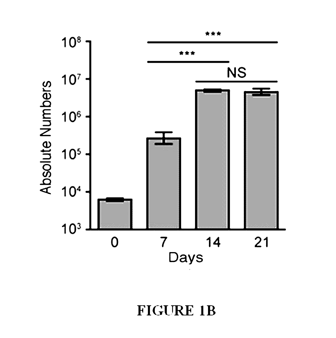 Methods of expanding ex vivo natural killer t (NKT) cells and therapeutic uses thereof