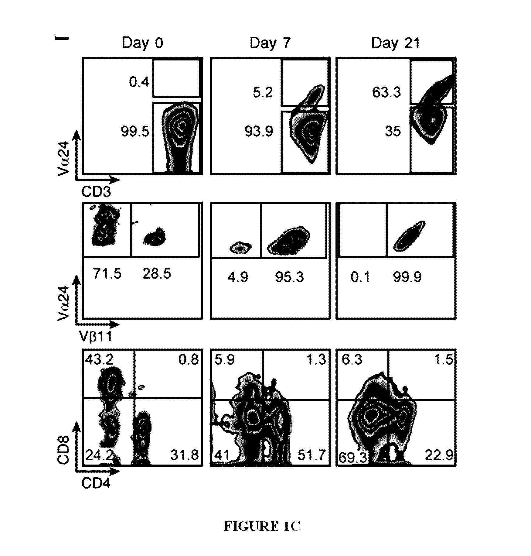 Methods of expanding ex vivo natural killer t (NKT) cells and therapeutic uses thereof