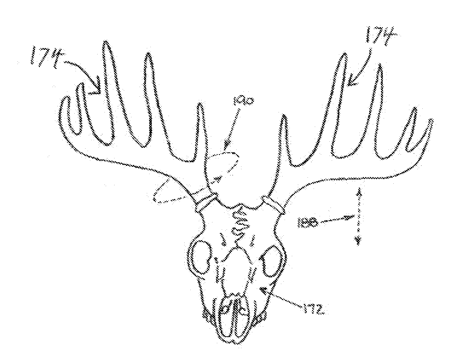 Method and apparatus for wall mounting a skull with adjustable antler orientation