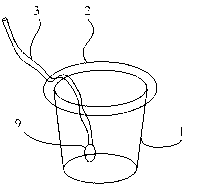 Method for manually hatching palaemon carinicauda indoors and preferentially selecting larvas