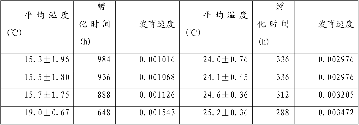 Method for manually hatching palaemon carinicauda indoors and preferentially selecting larvas