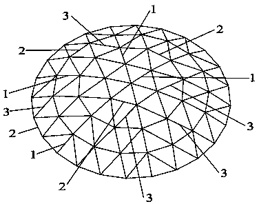 Bamboo-structure single-layer spherical latticed shell and assembling method