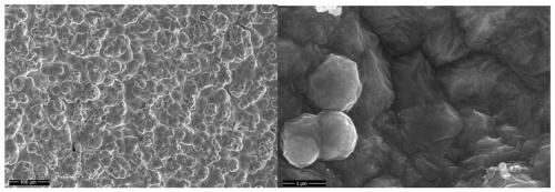 Preparation method of CNTs/Ni composite material with high strength and high plasticity