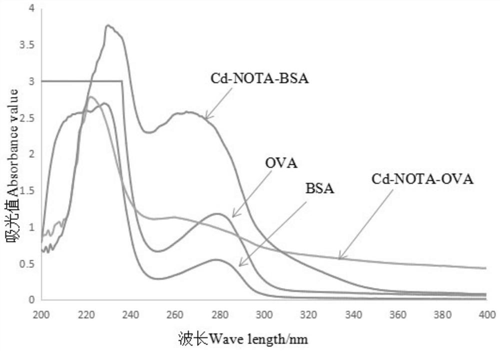 A kind of preparation method of heavy metal cadmium artificial antigen and the application of nota in the preparation of heavy metal cadmium artificial antigen reagent