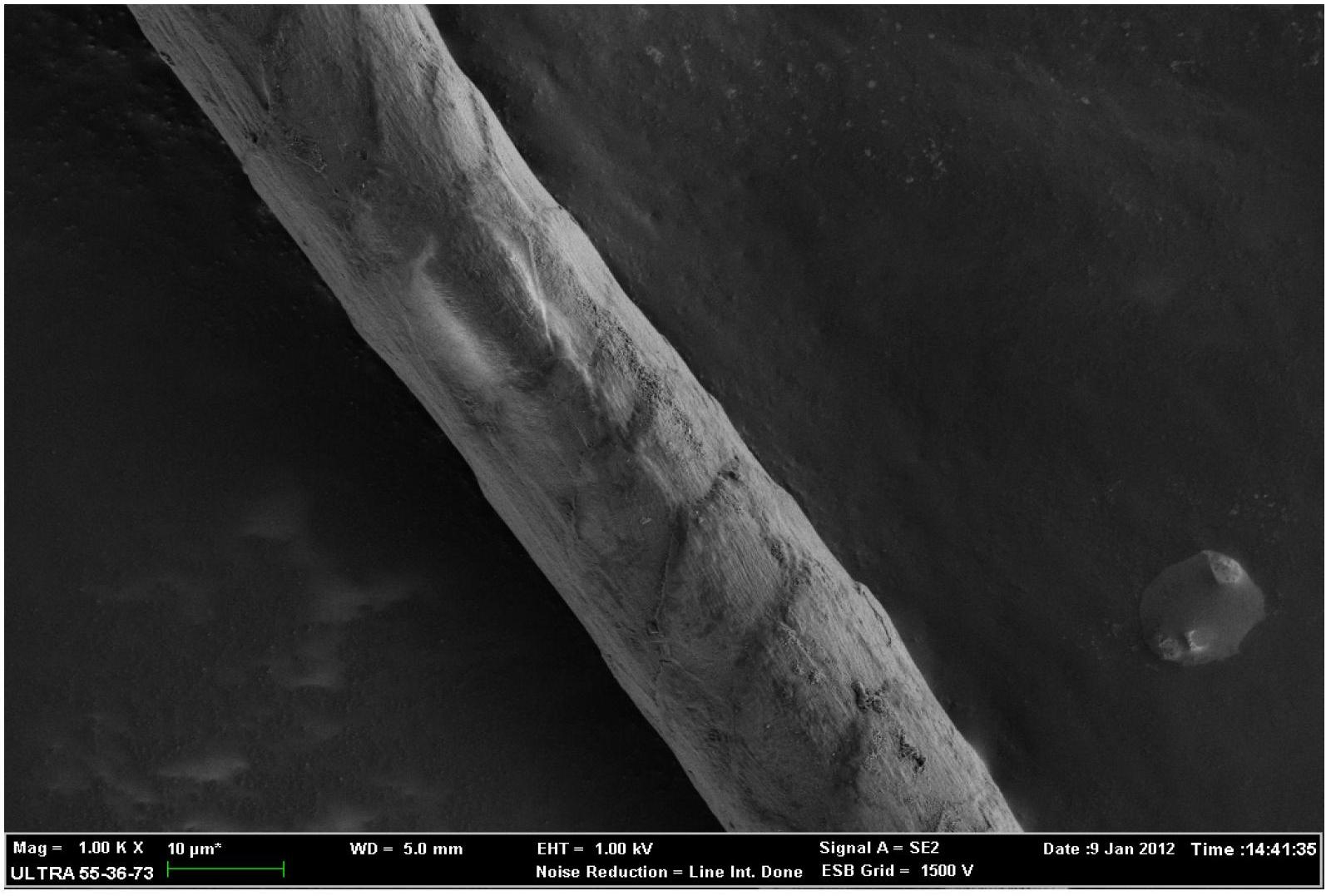 Surface modification method for wool