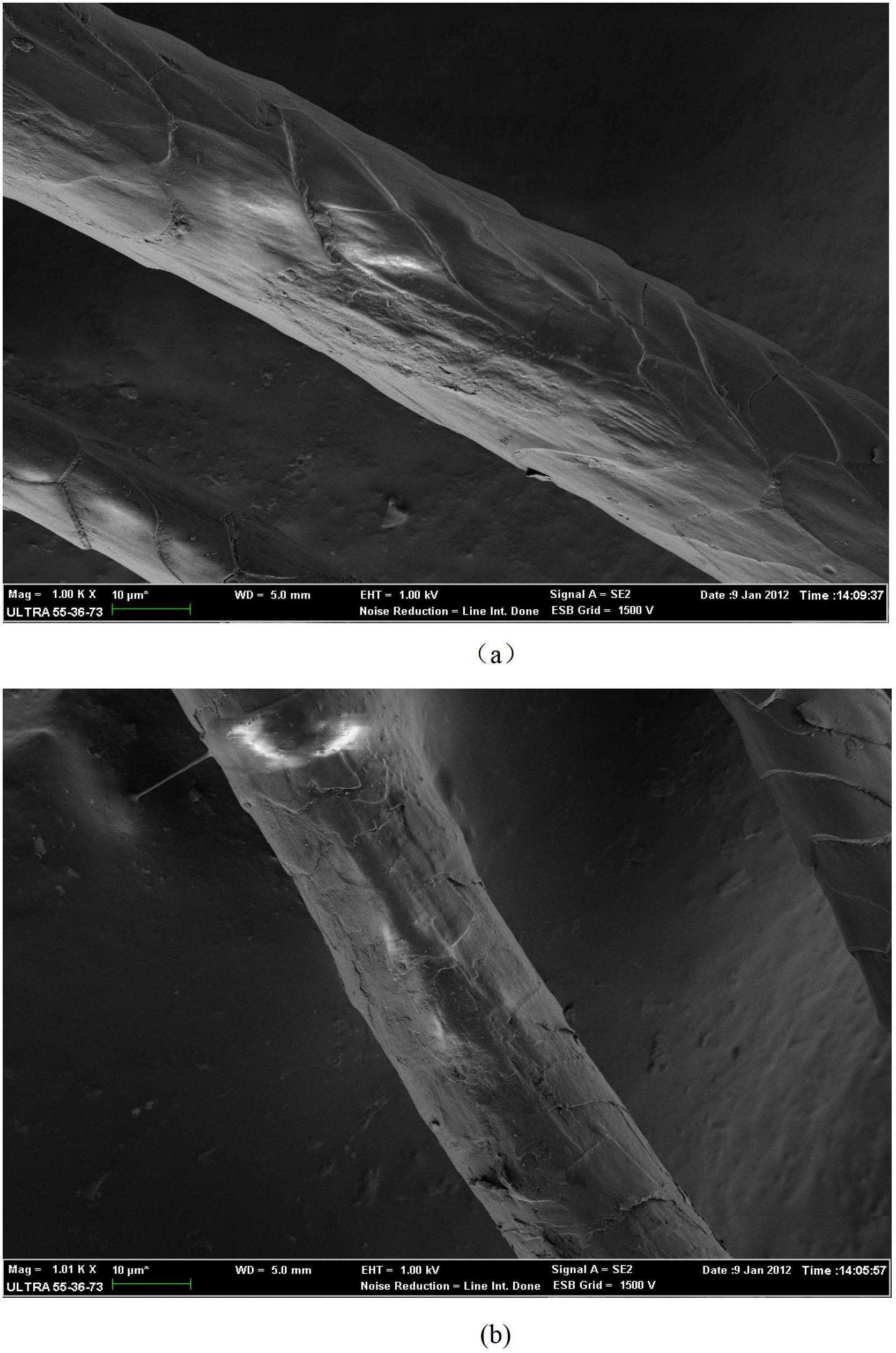 Surface modification method for wool