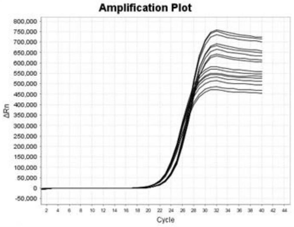 Specific selective amplification and multiplex PCR method and application