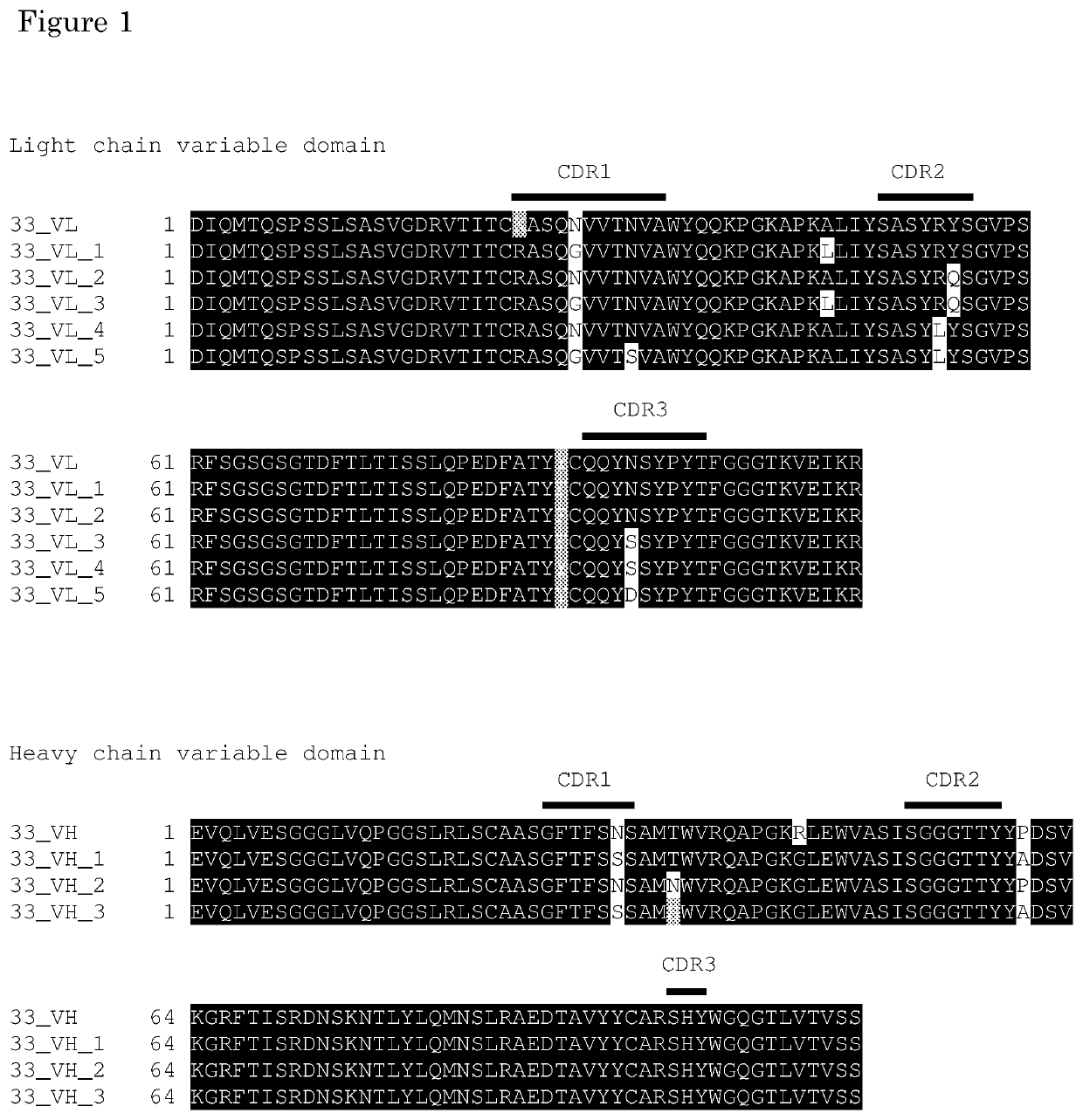 Improved Anti-fibronectin eda antibodies