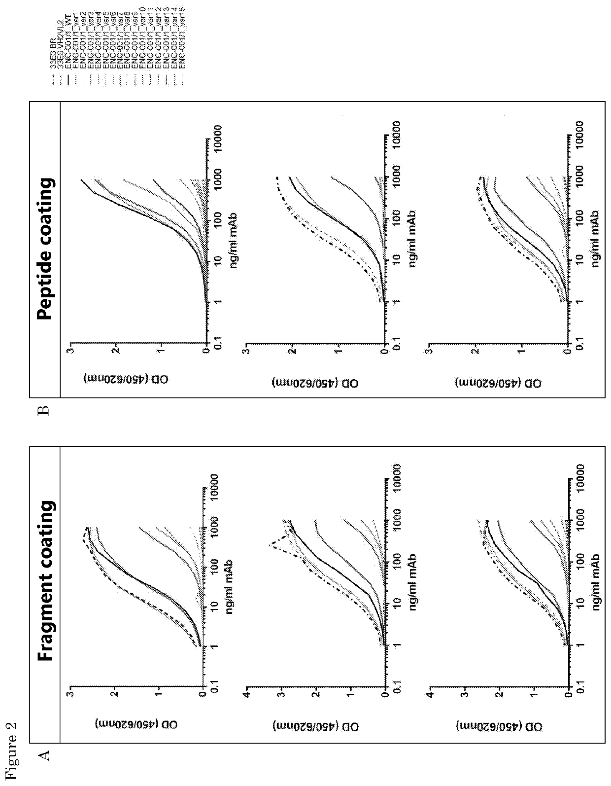 Improved Anti-fibronectin eda antibodies