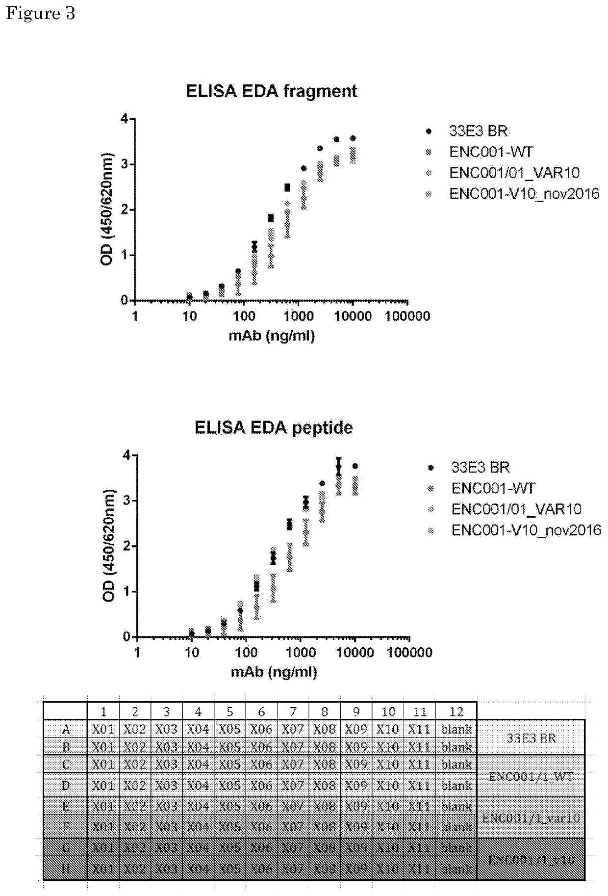 Improved Anti-fibronectin eda antibodies