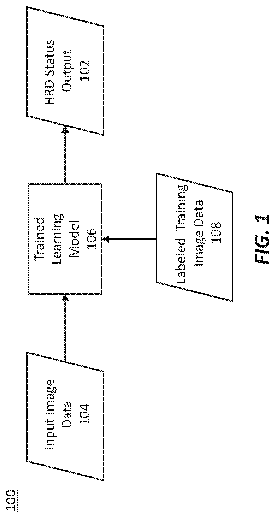 Methods for characterizing and treating a cancer type using cancer images
