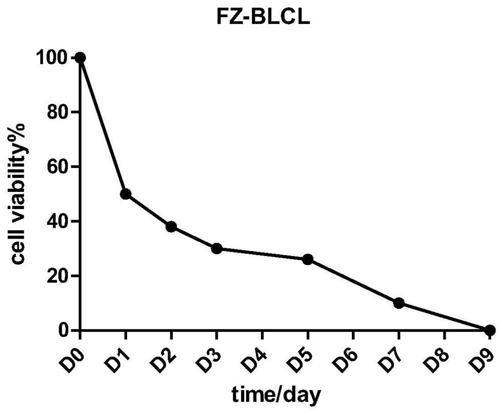 Preparation method of EBV specific cytotoxic T cells