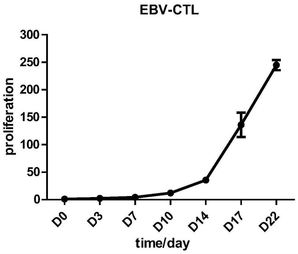 Preparation method of EBV specific cytotoxic T cells