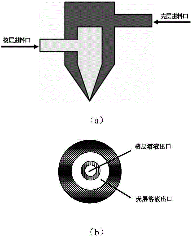 Core-shell type ultra-micro electrode prepared through coaxial electrostatic spinning and preparation method thereof