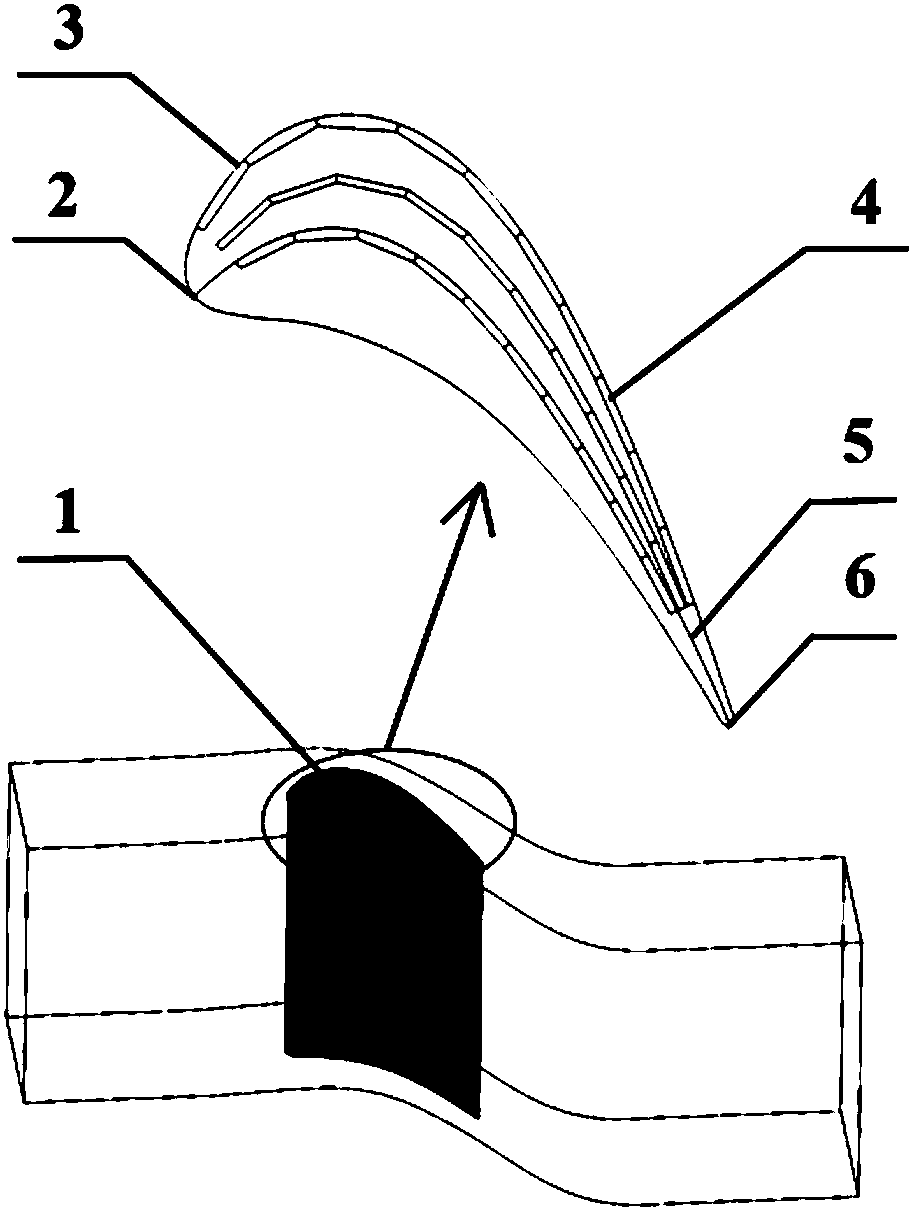 Turbine cascade blade top structure with array type DBD plasma excitation layout