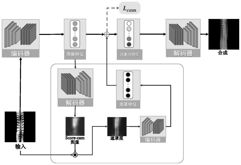 Non-radiative X-ray image generation method and device based on ultrasonic coronal plane image