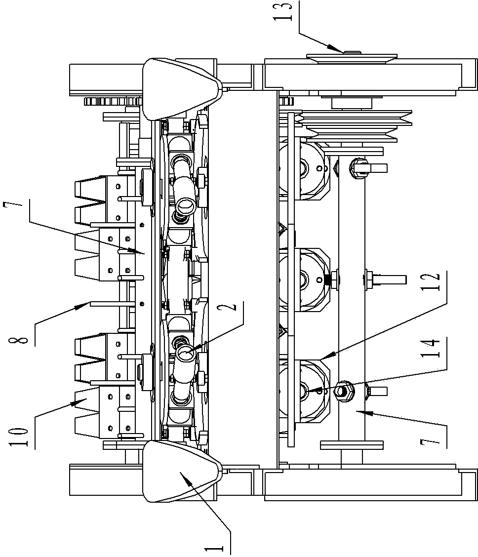 Chopping type micro cane harvesting machine