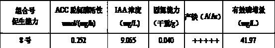 Preparation method of efficient growth-promoting bacterial fertilizer adopting waste jujube branches as nutrition medium