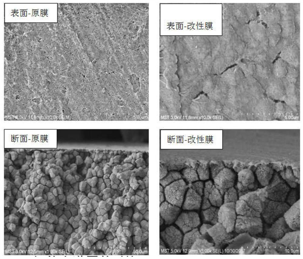 A kind of hollow fiber polymer membrane, preparation method and its application in brine refining