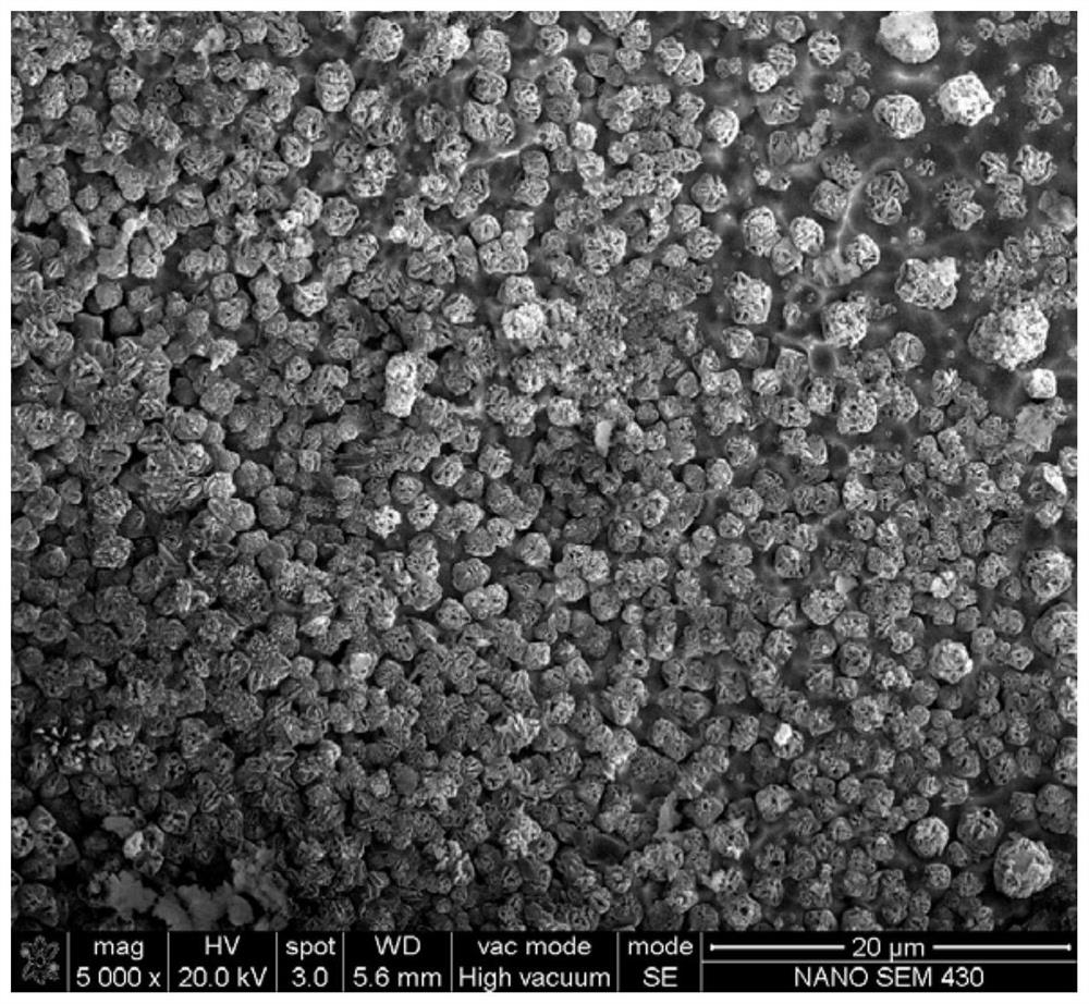 A kind of zr-based high-entropy alloy material and method for synthesizing porous spherical structure on the surface of zr-based high-entropy alloy