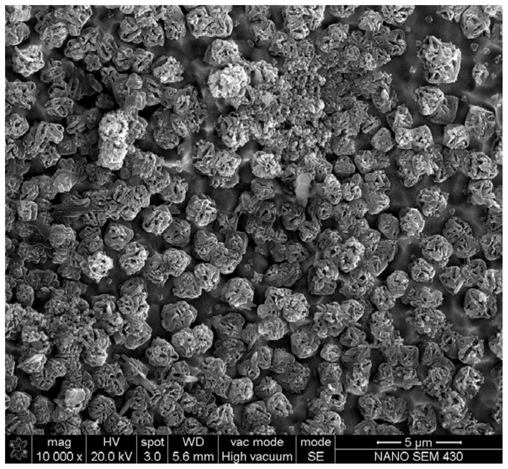 A kind of zr-based high-entropy alloy material and method for synthesizing porous spherical structure on the surface of zr-based high-entropy alloy