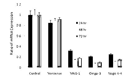 siRNA and recombinant vector for restraining MAG gene expression