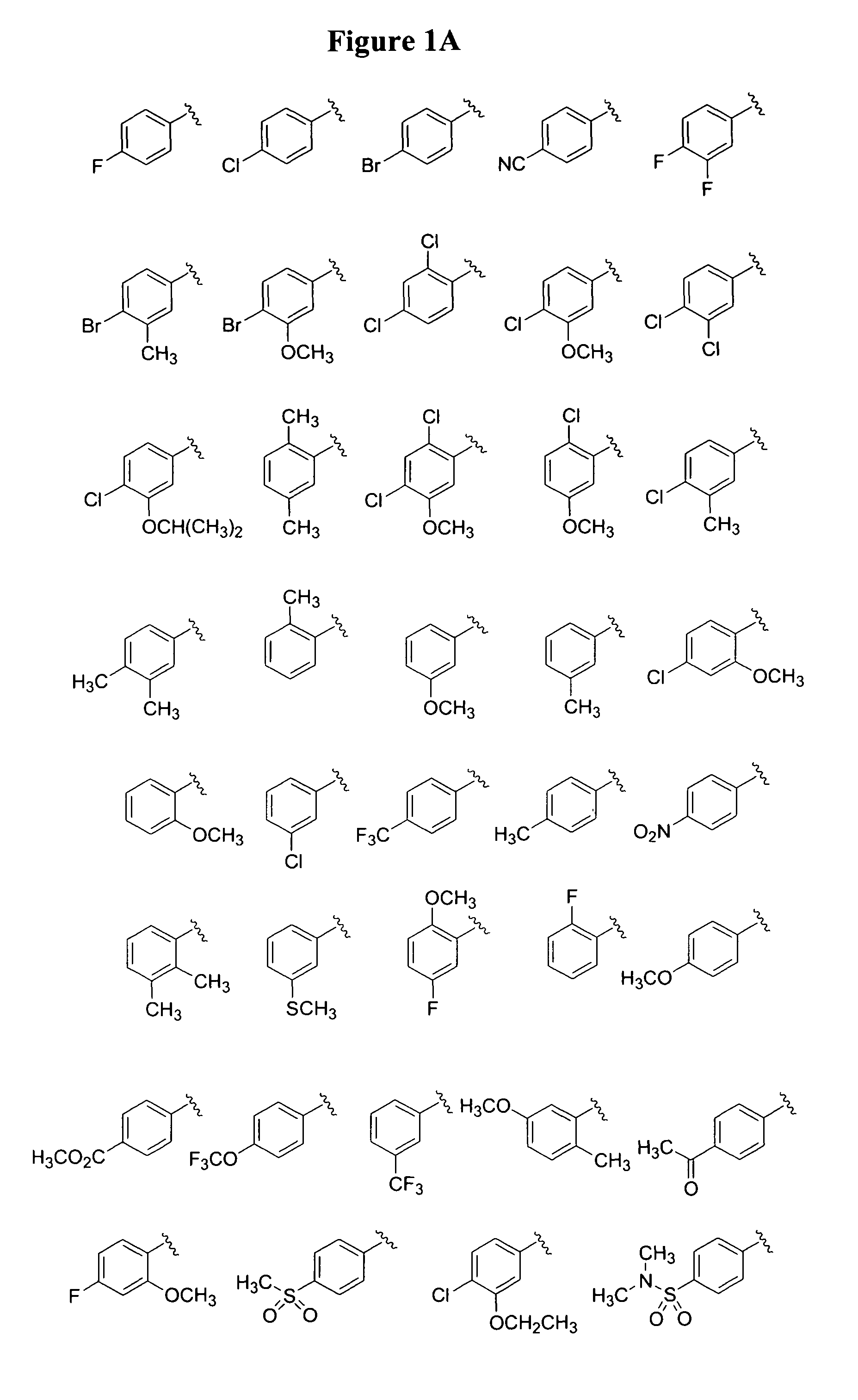 Monocyclic and bicyclic compounds and methods of use