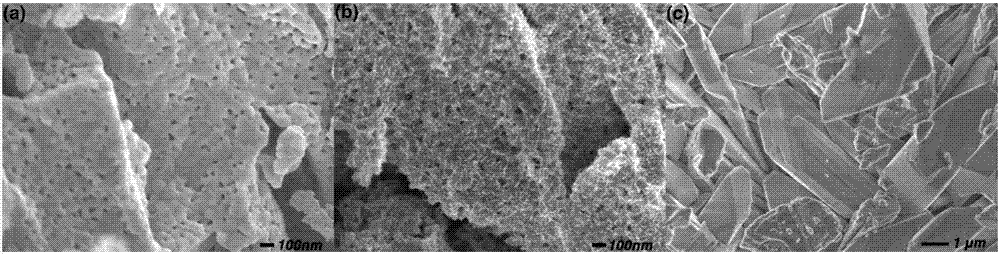 Alkali cobalt phosphate nanoneedle-containing composite LTON photocatalyst and preparation method and application thereof