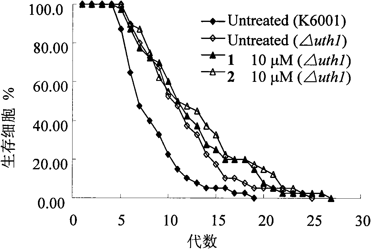 Preparation and application of ergosterin derivative