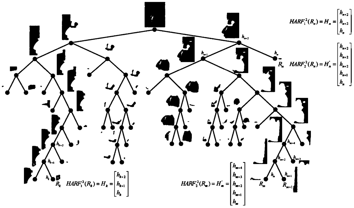 A Method and System for Regional Feature Description Based on Binary Segmentation Tree