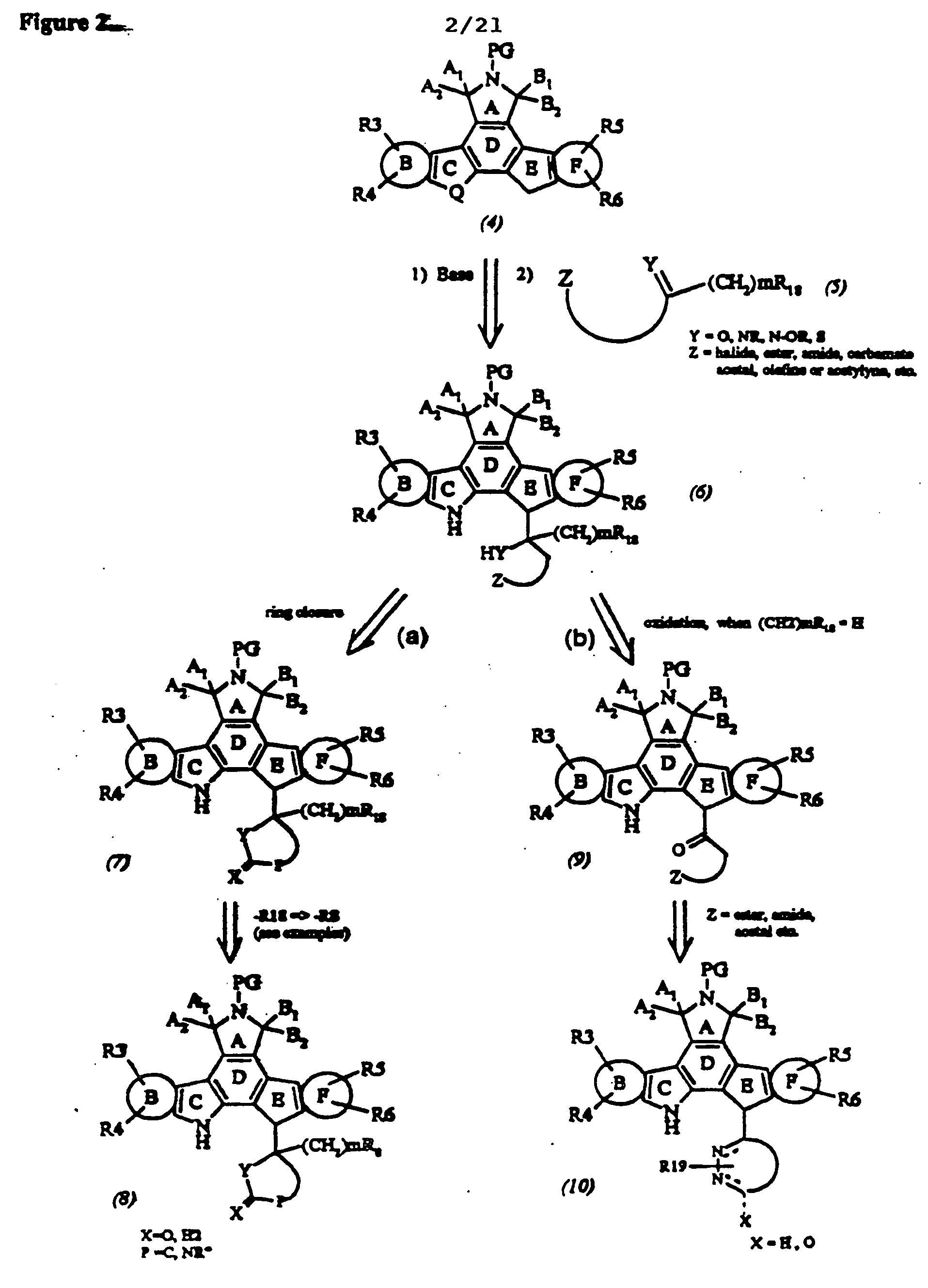 Cyclic substituted fused pyrrolocarbazoles and isoindolones