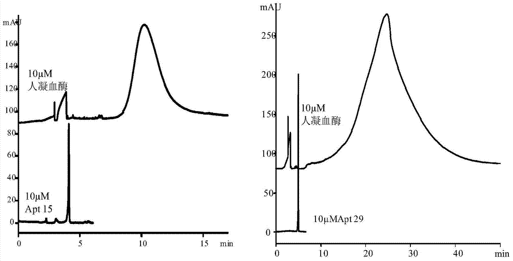 Capillary Electrophoresis Method for On-line Reaction Separation of Protein-oligonucleic Acid Complex