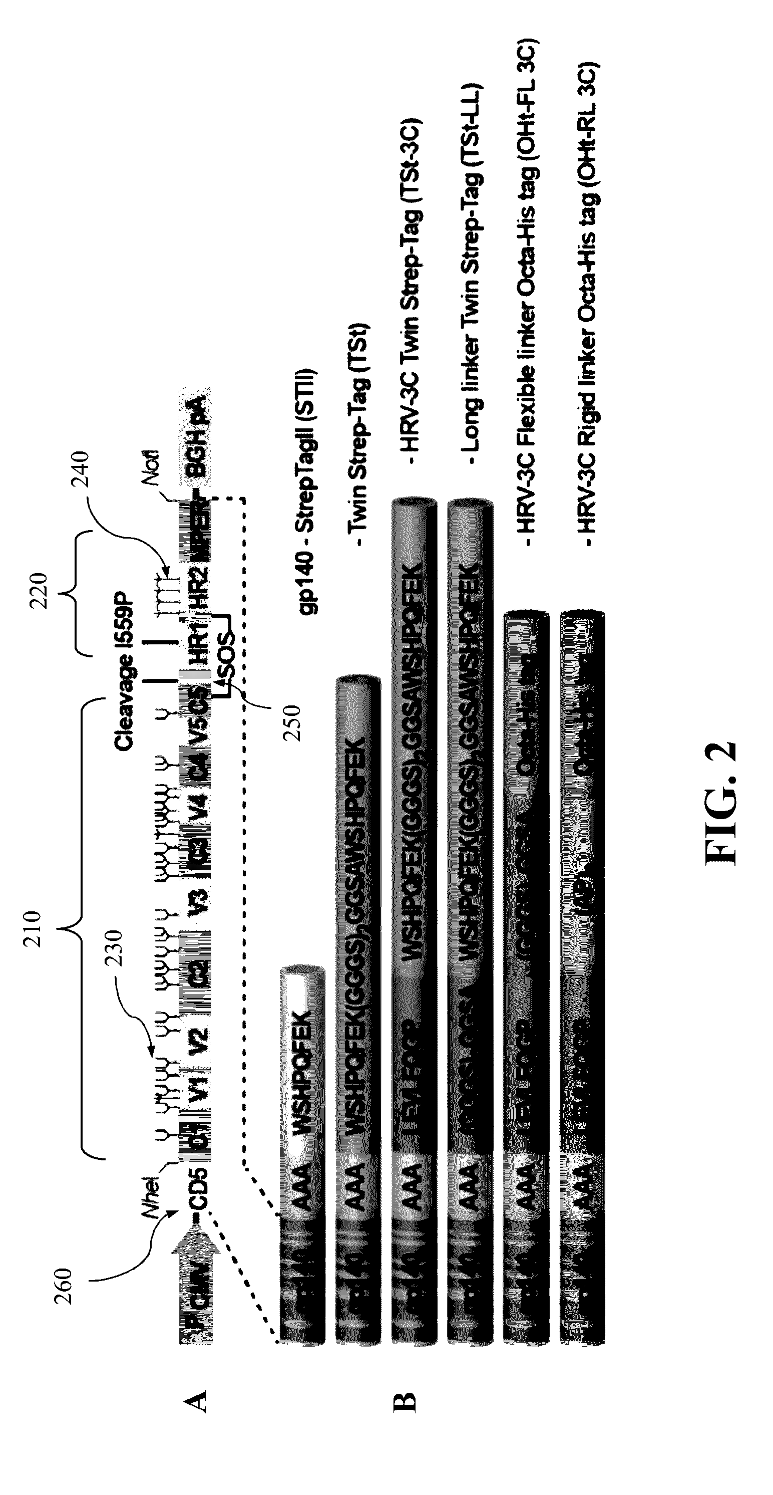 Approach to produce HIV-1 GP140 envelope protein trimers