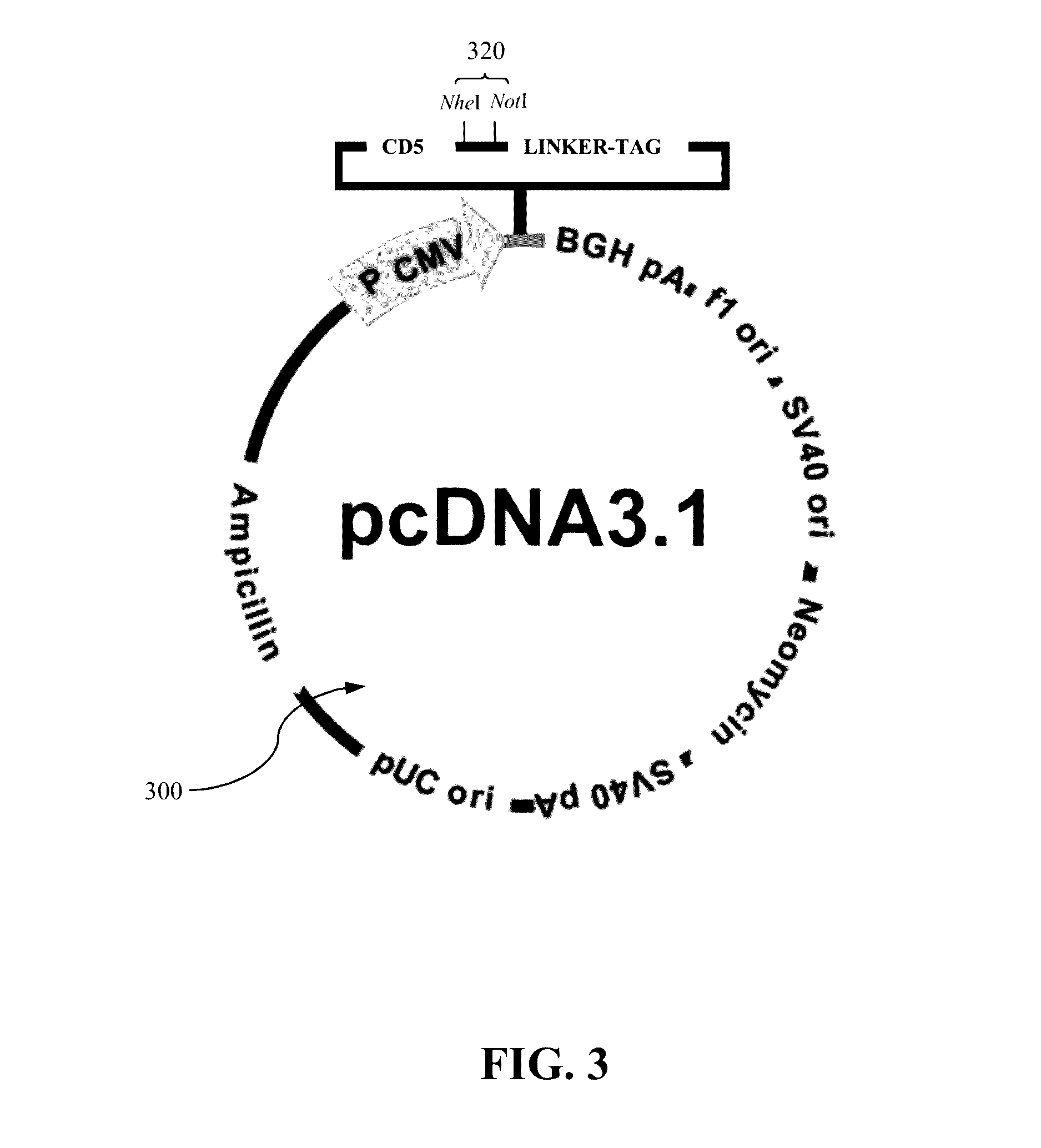 Approach to produce HIV-1 GP140 envelope protein trimers