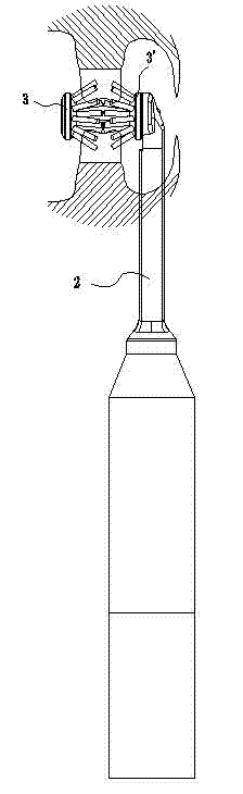 Omnibearing electric toothbrush