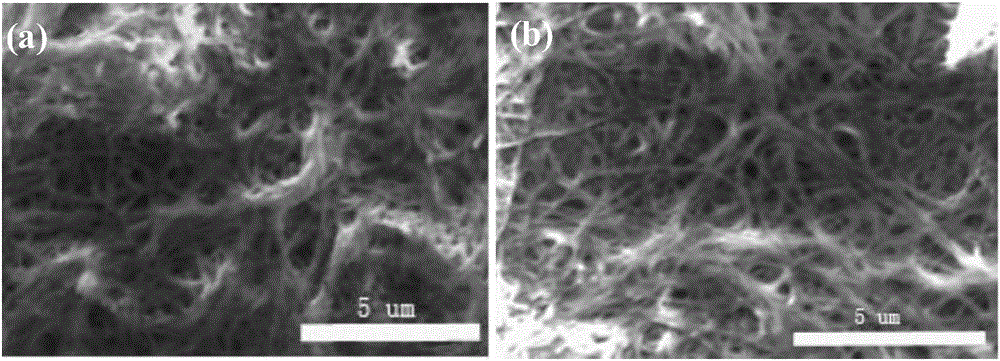 Super-hydrophobic surface formed on basis of dihydrazide derivative molecular gel