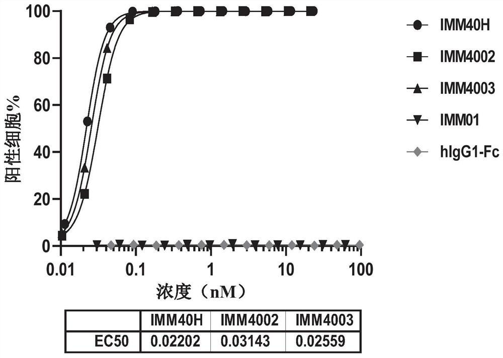 Recombinant fused protein targeting CD47 and CD70 as well as preparation and application of recombinant fused protein