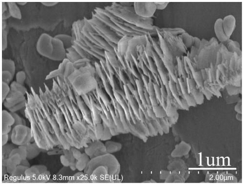 Bismuth oxycarbonate-bismuth oxychloride hetero-junction and synthesis method thereof