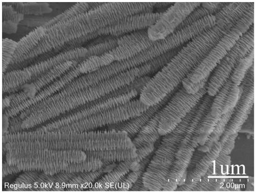 Bismuth oxycarbonate-bismuth oxychloride hetero-junction and synthesis method thereof