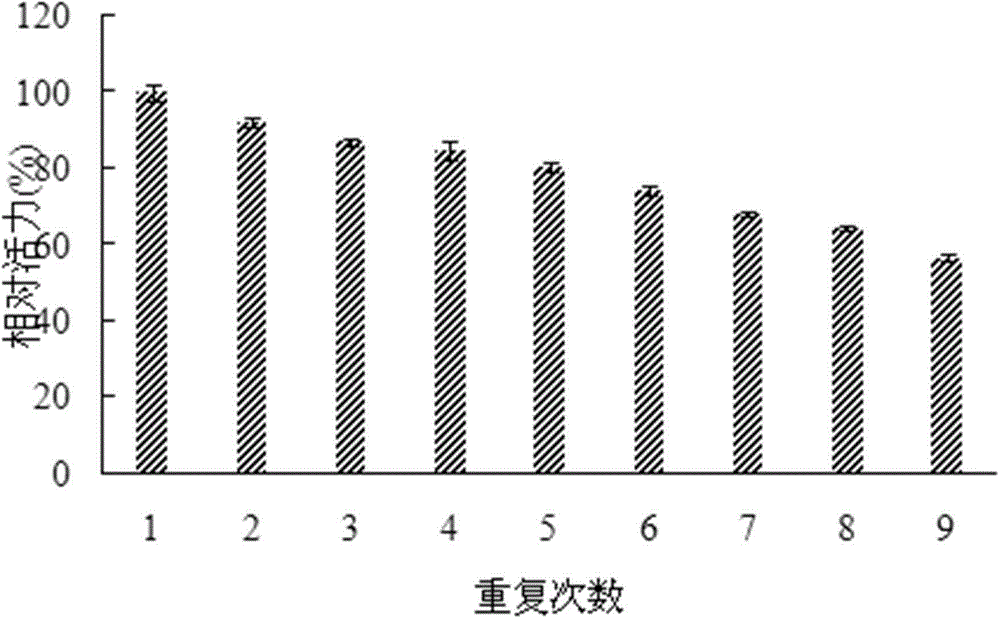 Aryl sulfatase gene, protein encoded by aryl sulfatase gene as well as immobilization method and application of protein