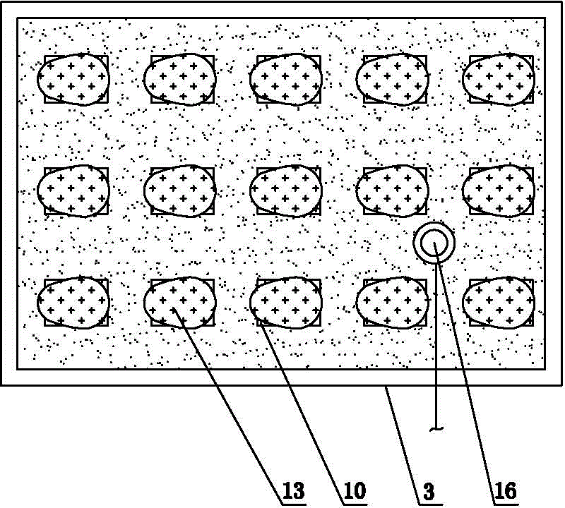 Integrated incubation system for pelodiscus sinensis eggs